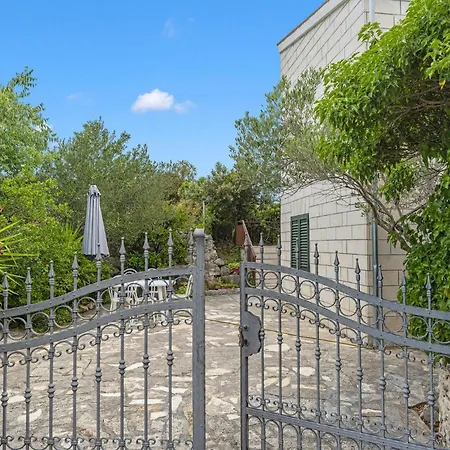 Amazing In With Wifi *