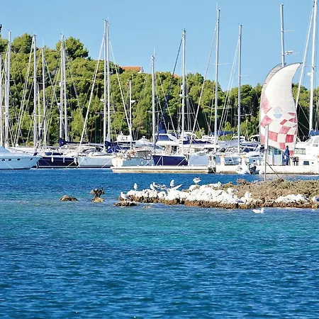 Amazing In With Wifi Nyaraló *