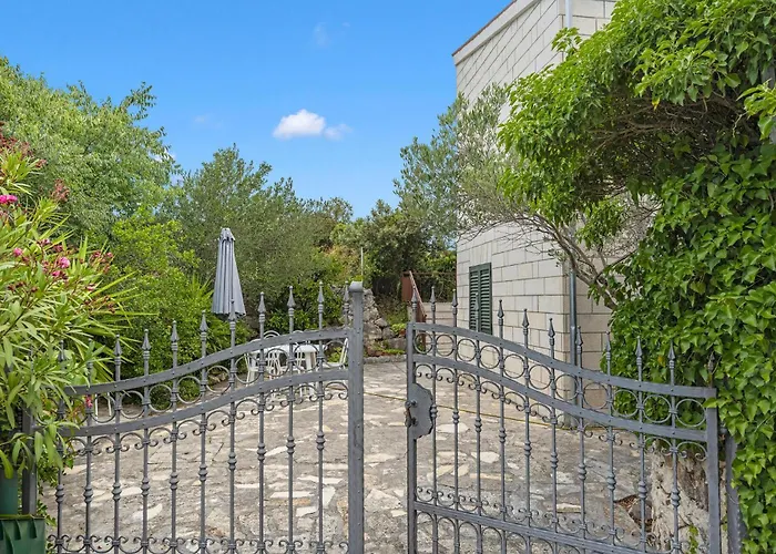 Amazing In With Wifi *