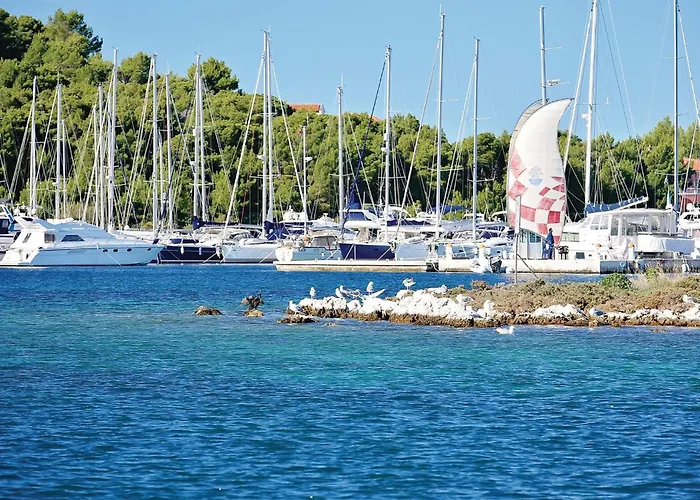 Amazing In With Wifi Tatil Evi *